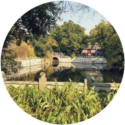 无限之心九游版下载