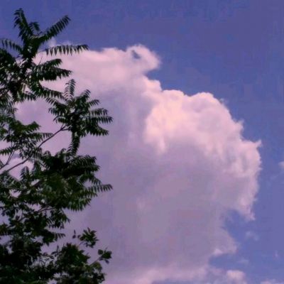 4399时空猎人内购破解版下载