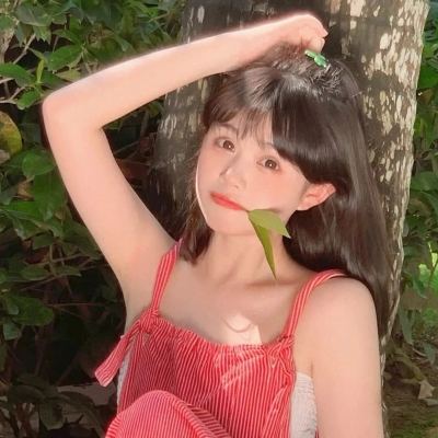 大圣不取经公益服下载